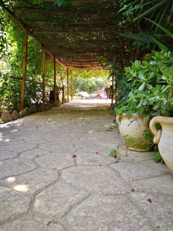 Villa Murgia Solanas  Kültér fotó