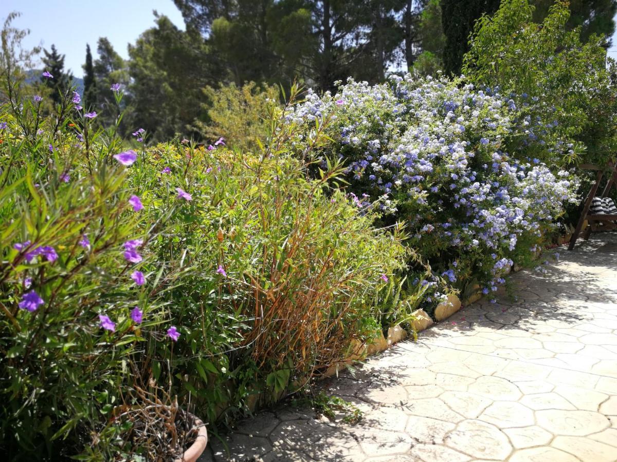 Villa Murgia Solanas  Kültér fotó
