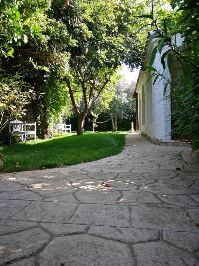 Villa Murgia Solanas  Kültér fotó