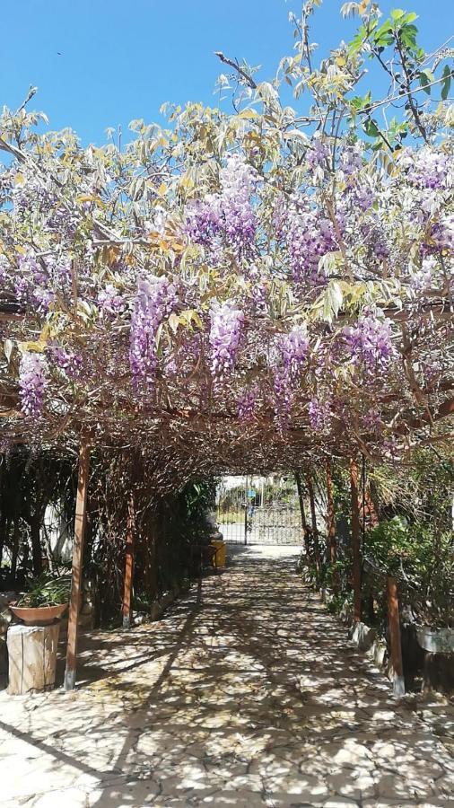 Villa Murgia Solanas  Kültér fotó